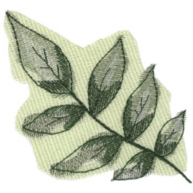 Picture of Ash Tree Leaf Machine Embroidery Design