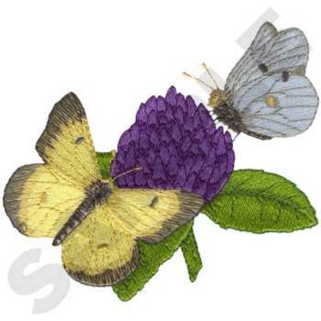 Picture of Clouded Sulphur Butterflies Machine Embroidery Design