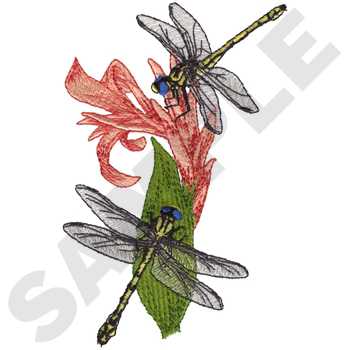 Plains Clubtail Dragonflies Machine Embroidery Design