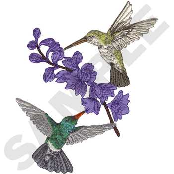Broad-billed Hummingbirds Machine Embroidery Design