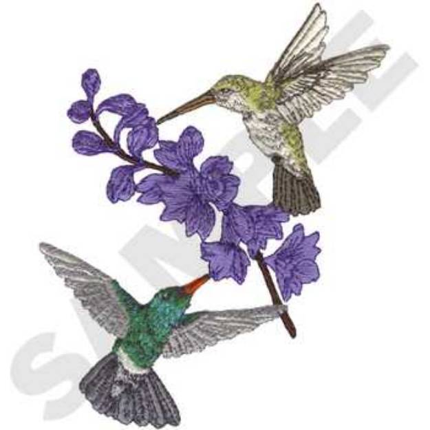 Picture of Broad-billed Hummingbirds Machine Embroidery Design