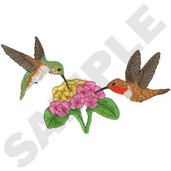 Rufous Hummingbirds Machine Embroidery Design