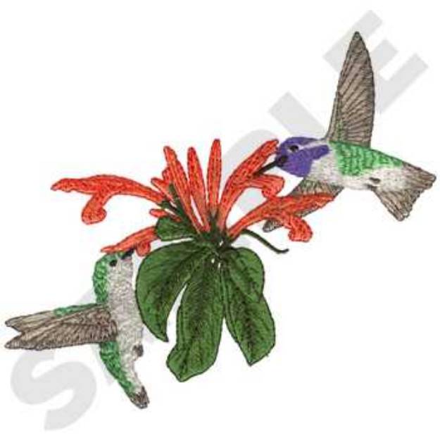 Picture of Costas Hummingbirds Machine Embroidery Design