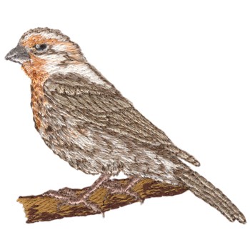 House Finch Machine Embroidery Design