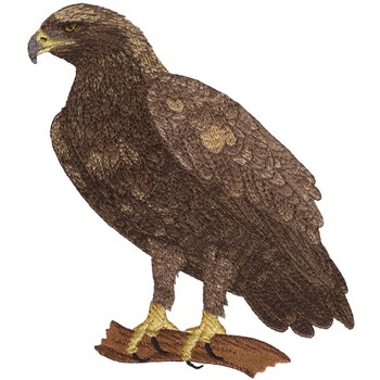 Golden Eagle Machine Embroidery Design