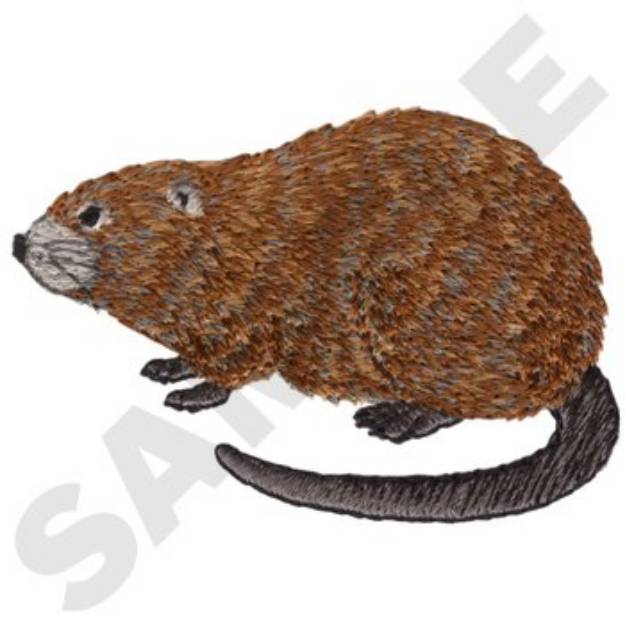 Picture of Muskrat Machine Embroidery Design