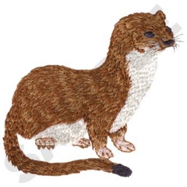 Picture of Long Tailed Weasel Machine Embroidery Design