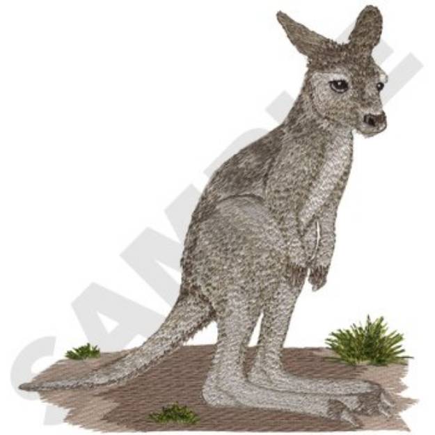 Picture of  Kangaroo Machine Embroidery Design