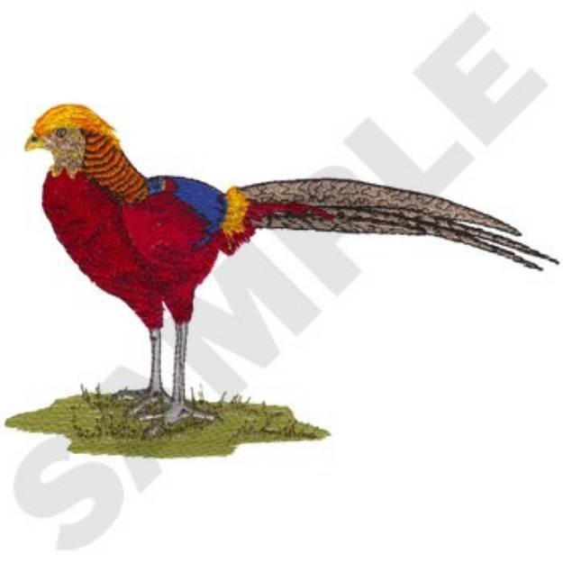 Picture of Golden Pheasant Machine Embroidery Design