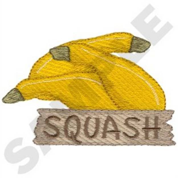 Picture of Squash Machine Embroidery Design