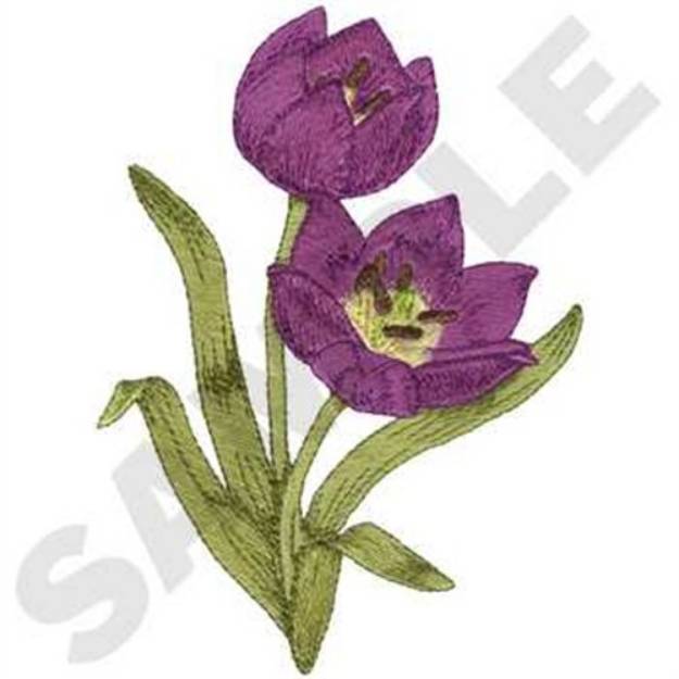 Picture of Wild Tulip Machine Embroidery Design
