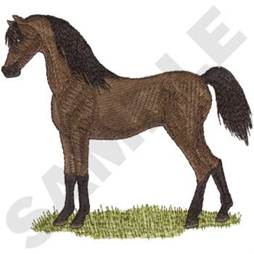 Arabian Horse Machine Embroidery Design