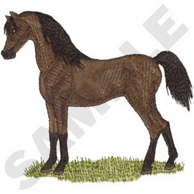 Picture of Arabian Horse Machine Embroidery Design