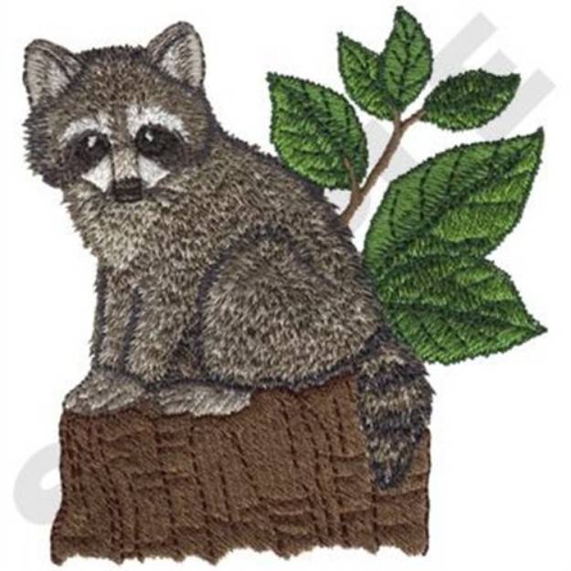 Picture of  Raccoon Machine Embroidery Design