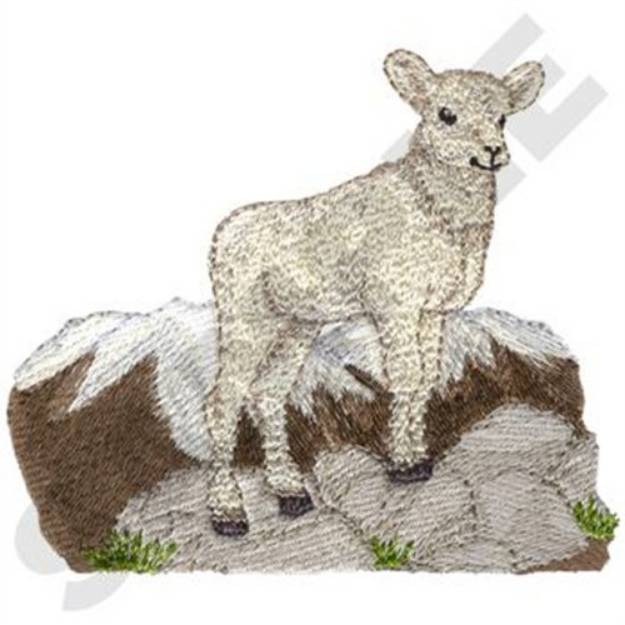 Picture of Baby Bighorn Sheep Machine Embroidery Design