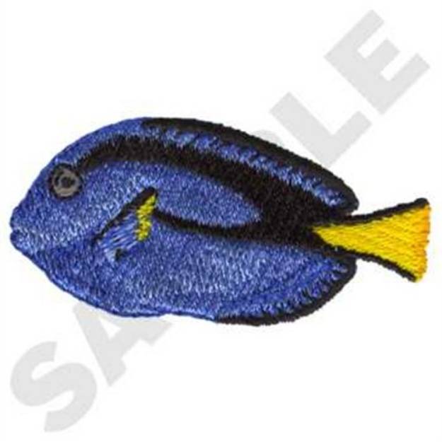 Picture of Blue Tang Fish Machine Embroidery Design