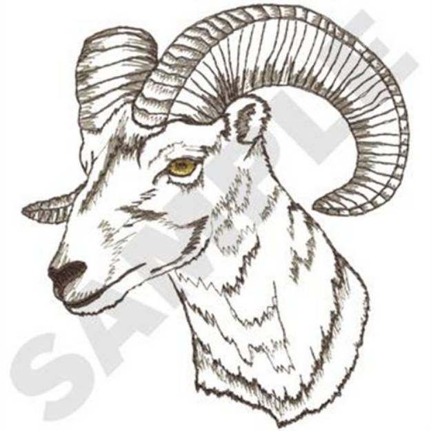 Picture of Bighorn Sheep Head Machine Embroidery Design
