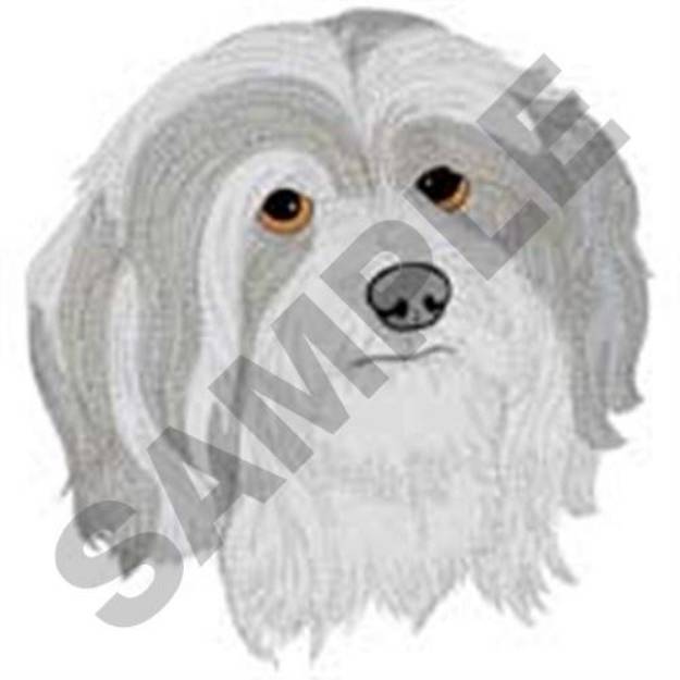Picture of Havanese Head Machine Embroidery Design