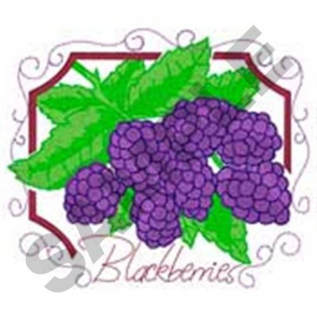 Picture of Scroll Framed Blackberries Machine Embroidery Design