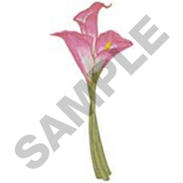 Picture of Pink Calla Lilies Machine Embroidery Design