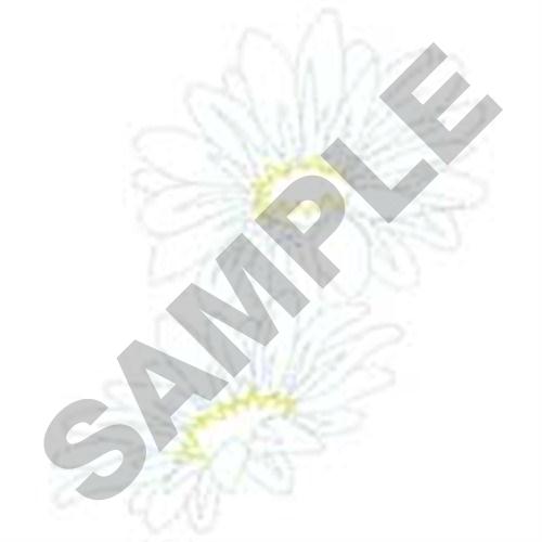 Daisies Outline Machine Embroidery Design