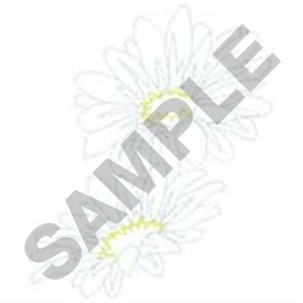 Picture of Daisies Outline Machine Embroidery Design