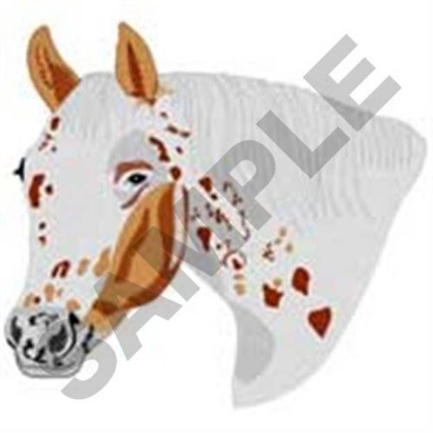 Picture of Appaloosa Horse Machine Embroidery Design