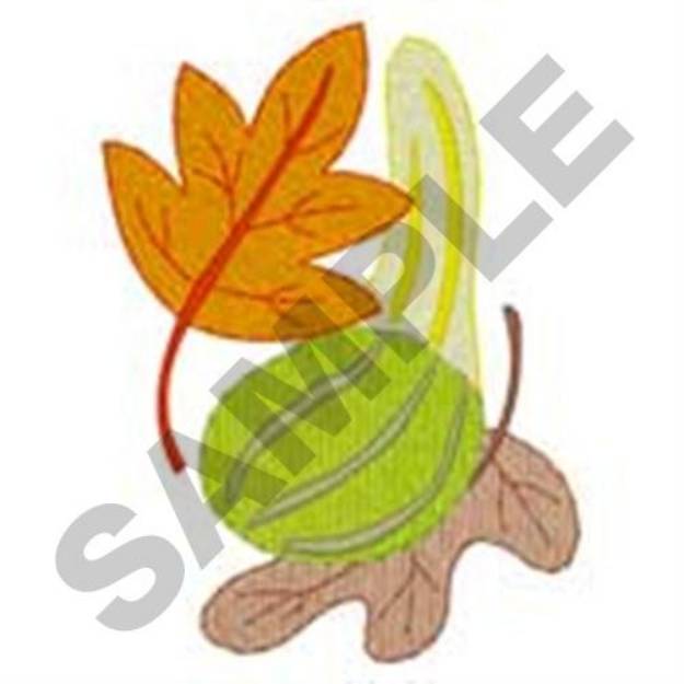 Picture of Fall Gourds Machine Embroidery Design