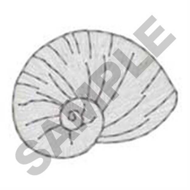 Picture of Shell Accent Machine Embroidery Design