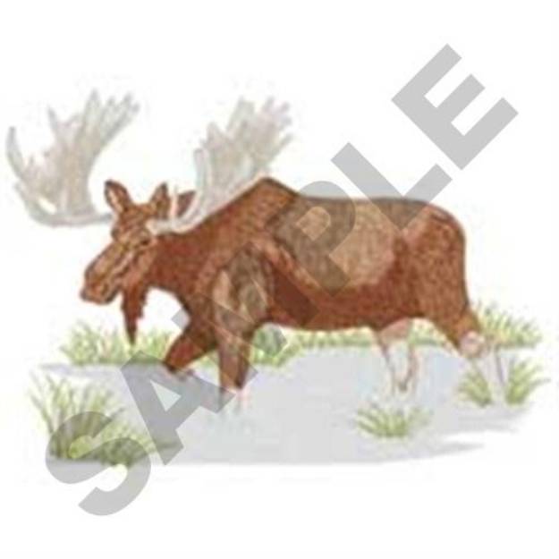 Picture of Bull Moose Machine Embroidery Design