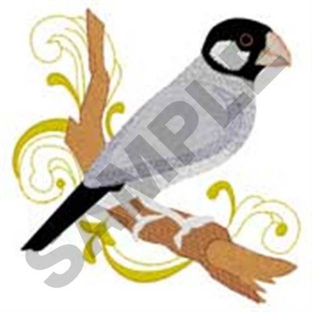 Picture of Java Sparrow Machine Embroidery Design