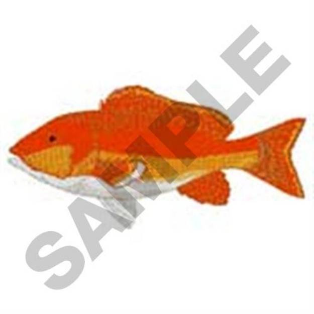 Picture of Red Snapper Machine Embroidery Design