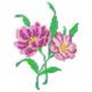 Picture of Cross Stitch Blooms Machine Embroidery Design