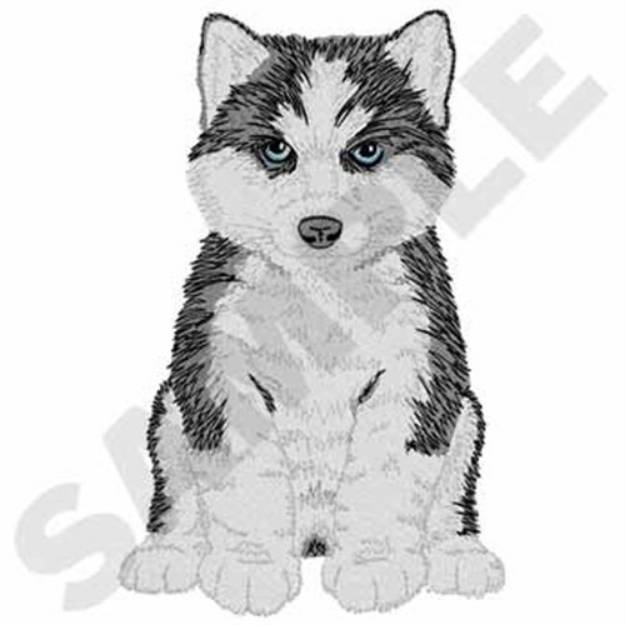 Picture of Husky Puppy Machine Embroidery Design