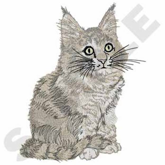 Picture of Maine Coon Kitten Machine Embroidery Design