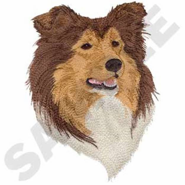 Picture of Rough Collie Head Machine Embroidery Design