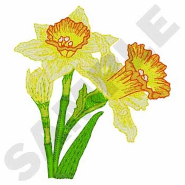Picture of Daffodil Machine Embroidery Design