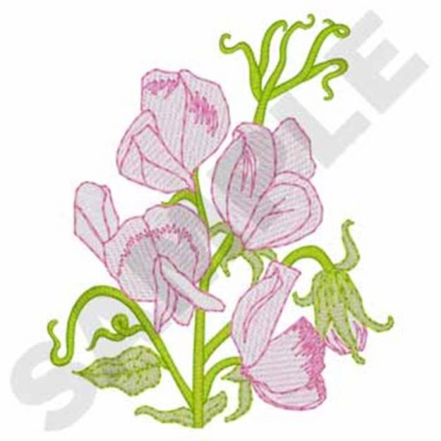 Picture of Sweet Pea Machine Embroidery Design