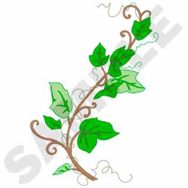 Picture of English Ivy Machine Embroidery Design