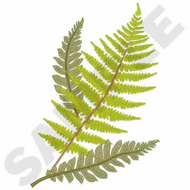 Picture of Fern Leaves Machine Embroidery Design