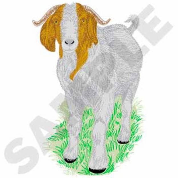 Picture of Boer Goat Machine Embroidery Design