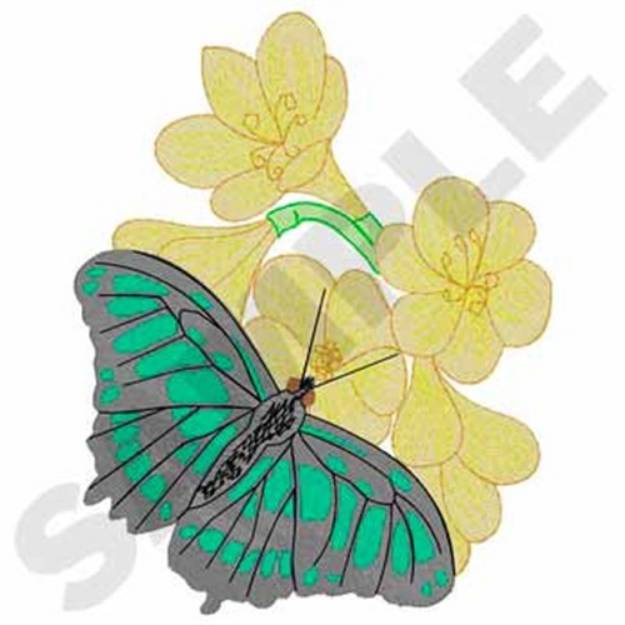 Picture of Green Malachite Butterfly Machine Embroidery Design