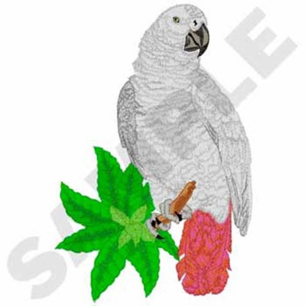 Picture of African Grey Parrot Machine Embroidery Design