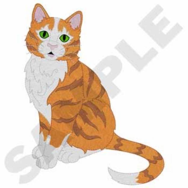 Picture of Orange And White Tabby Machine Embroidery Design