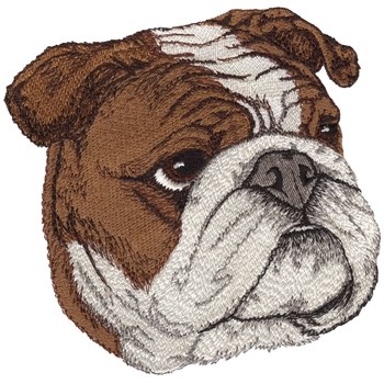 English Bulldog Machine Embroidery Design