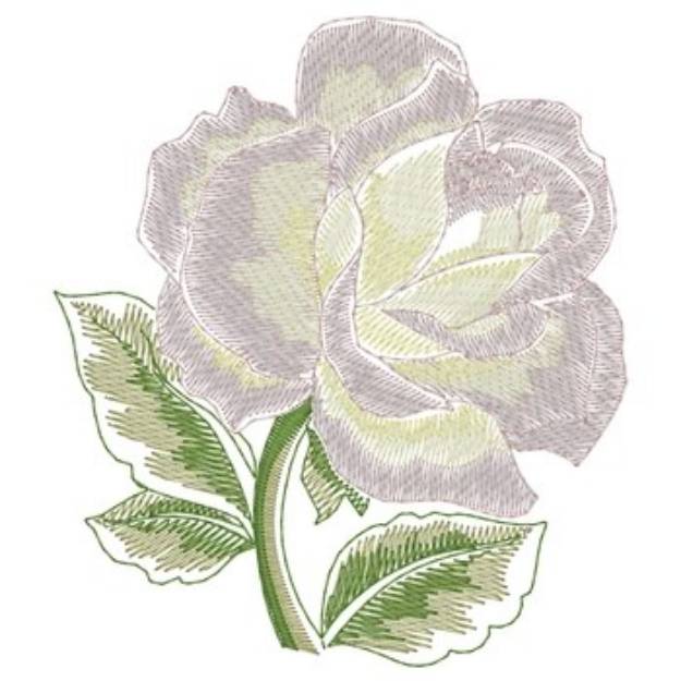 Picture of White Rose Machine Embroidery Design