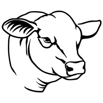 Black Angus Outline Machine Embroidery Design