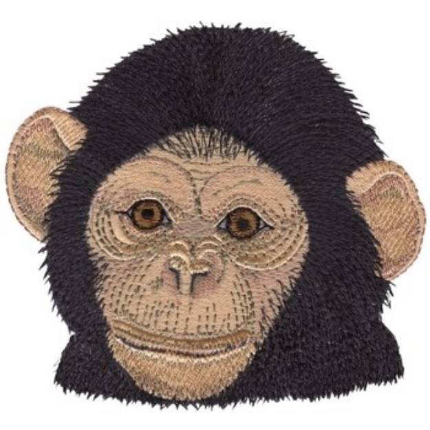 Picture of Baby Chimpanzee Machine Embroidery Design