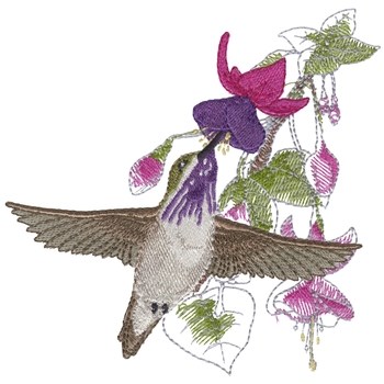 Calliope Humming Bird Machine Embroidery Design