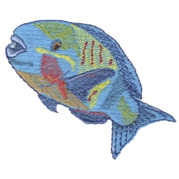 Parrot Fish Machine Embroidery Design